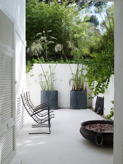 Minimalist Garden Tips For Your Home