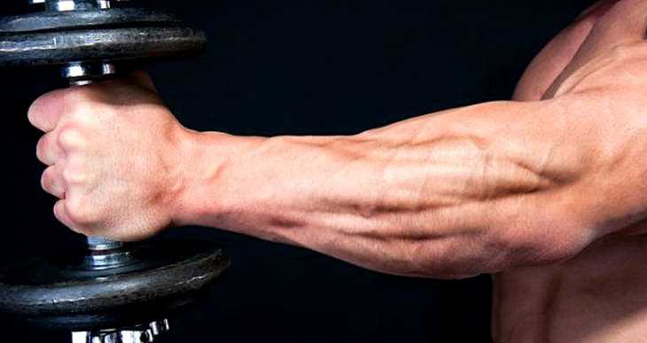 The Ultimate Forearm Building Blueprint: Learn How to Sculpt and Strengthen Your Forearms-3