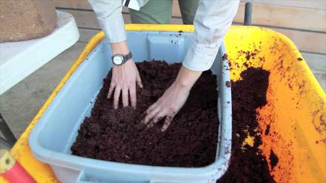 From Scratch to Success: How to Start Vermiculture and Boost Soil Health-4