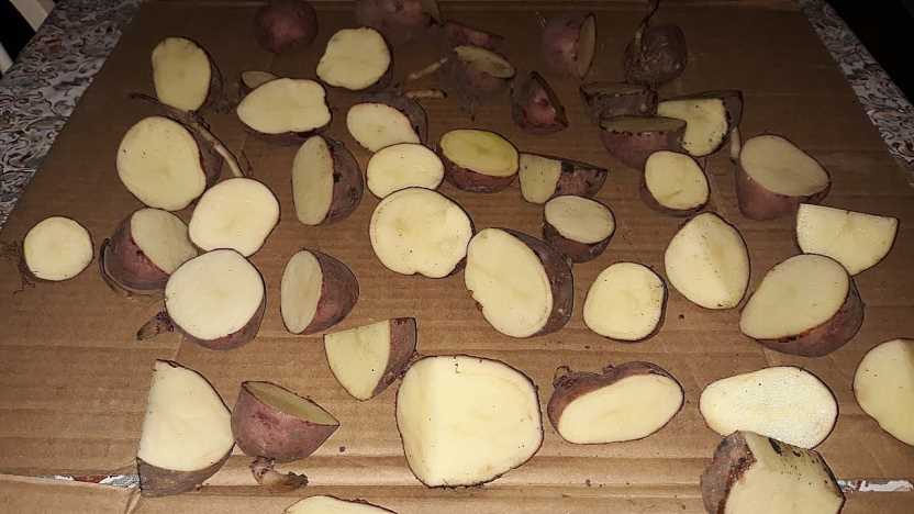 Preserve and Enjoy: How to Cure Potatoes for Freshness and Flavor-3